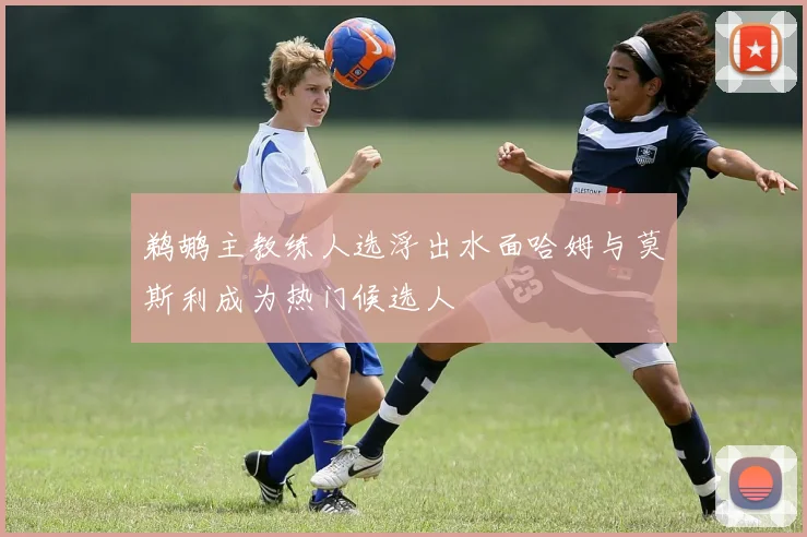 鹈鹕主教练人选浮出水面哈姆与莫斯利成为热门候选人