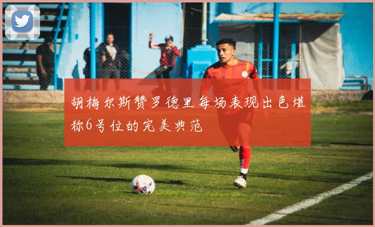 胡梅尔斯赞罗德里每场表现出色堪称6号位的完美典范